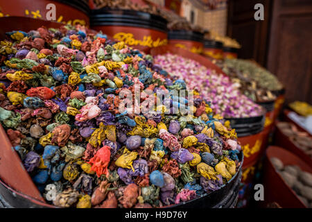 Colorful dried cactus flowers, herbs and spices in traditional Moroccan market in Marrakesh. Stock Photo