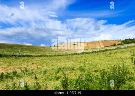 Blue sky and fields by the South West Coast Path, Dorset, England, UK Stock Photo