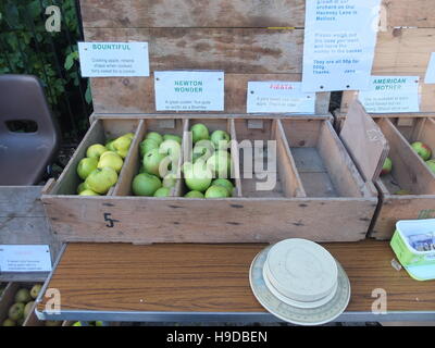 Varieties of apple in wooden crates for sale at an honesty stall at Cromford Apple Day Stock Photo