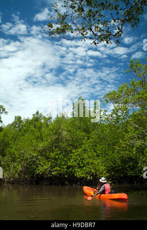 A nature guide kayaking in the mangrove forests of Langkawi. An archipelago of ninety-nine islands clustered off the far north-western tip of Malaysia Stock Photo