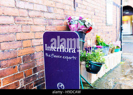 Interflora flowers flower delivery service sign interflora florist florist's florists UK England GB Stock Photo