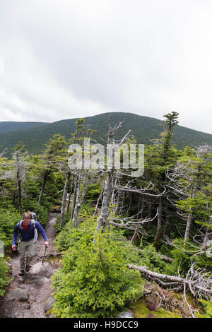 Hiker descending the Appalachian Trail (Beaver Brook Trail) on the summit of Mount Moosilauke, in Benton, New Hampshire USA during the summer months i Stock Photo
