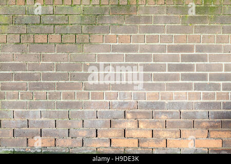 Partially repointed brick wall showing some damp and growth of lichen. Background Stock Photo