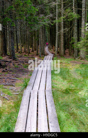 Planked trail through primeval forest leading from Osankarica lodge to the black lake - Crno jezero on Pohorje, Slovenia Stock Photo