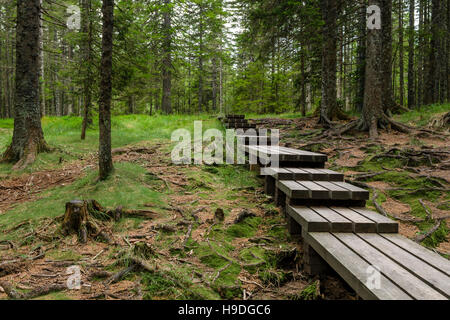 Planked trail through primeval forest leading from Osankarica lodge to the black lake - Crno jezero on Pohorje, Slovenia Stock Photo