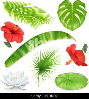 Jungle. Set of leaves and flowers. Tropical plants. 3d vector icons Stock Vector