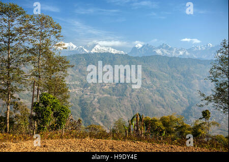 View over the Himalayas and Kanchenjunga, the world's third highest mountain, from Shakti Himalaya's home stay. Stock Photo