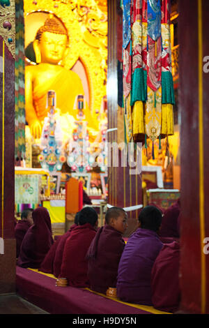 Novice monks at the Tawang Monastery participate in morning puja, or prayers. Stock Photo