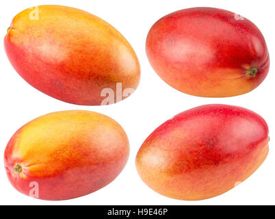 collection of mango isolated on the white background. Stock Photo