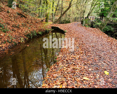 Footbridge over Eller Beck in Skipton Castle Woods in Autumn Skipton North Yorkshire England Stock Photo