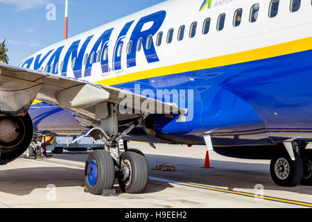A Sleeping Dog Underneath A Ryan Air Airplane at Fez Airport, Fez, Morocco Stock Photo