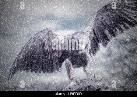 Textured and digitally altered photo of a Golden Eagle in a snowstorm. Stock Photo
