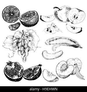 Fruits collection. Set of hand drawn graphic illustration in sketch style. Ink food illustrations with grapes, bananas, kiwi and other fruits Stock Photo