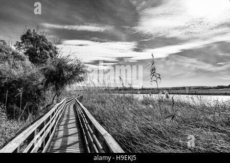 Wooden bridge in the middle of pond of platamona - Sardinia Stock Photo