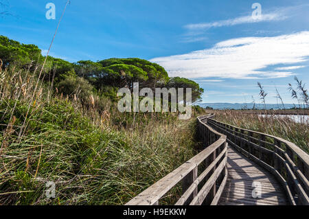 Wooden bridge in the middle of pond of platamona - Sardinia Stock Photo