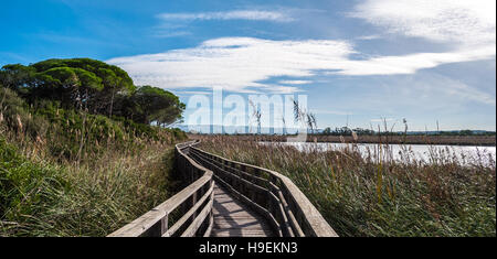 Wooden bridge in the middle of pond of platamona - Sardinia Stock Photo