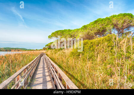 Wooden bridge in the middle of pond of platamona - Sardinia Stock Photo