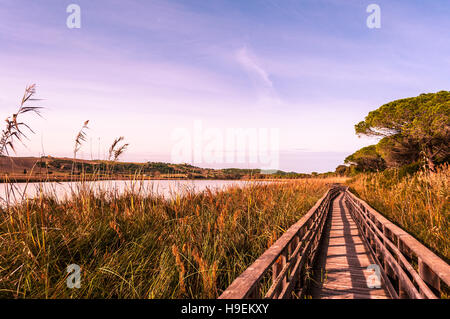 Wooden bridge in the middle of pond of platamona - Sardinia Stock Photo