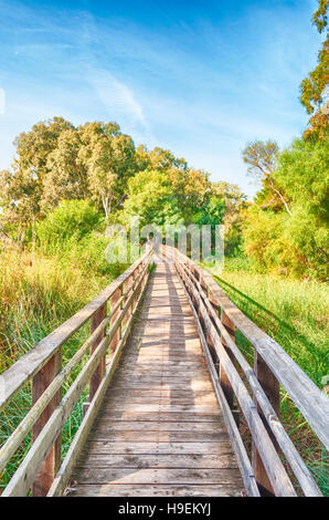 Wooden bridge in the middle of pond of platamona - Sardinia Stock Photo