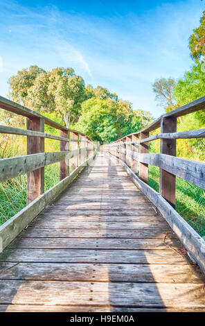 Wooden bridge in the middle of pond of platamona - Sardinia Stock Photo