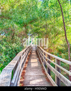 Wooden bridge in the middle of pond of platamona - Sardinia Stock Photo