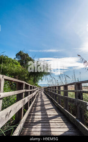 Wooden bridge in the middle of pond of platamona - Sardinia Stock Photo