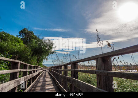 Wooden bridge in the middle of pond of platamona - Sardinia Stock Photo