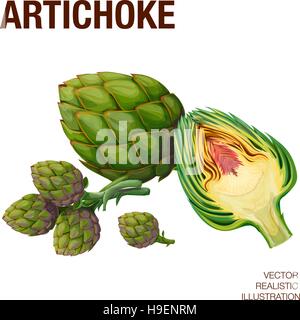 Free Vector, Realistic drawing vegetables