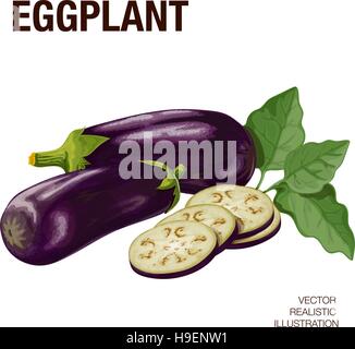 Eggplant. The illustration on a white background, made with a vector in a realistic style. Eggplant cut Stock Vector