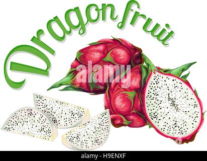 Dragon fruit. Vector illustration made in a realistic style Stock Vector