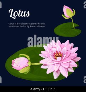 Lotus. Vector illustration Stock Vector