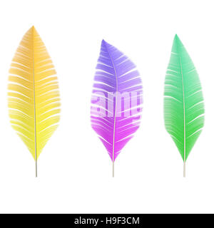 A collection of colored feathers isolated on white background Stock Photo