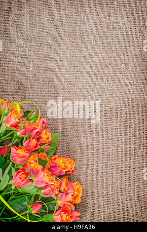Roses bouquet on rustic jute background. Flowers backgrounds. Linen canvas background. Stock Photo