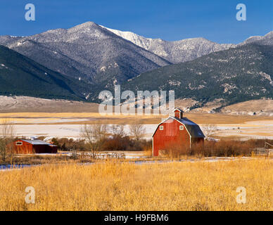red barns below the ruby mountains near alder, montana Stock Photo