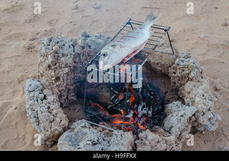 Freshly caught fish being grilled over open campfire out in the desert Stock Photo