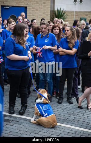 London, UK. 7th September, 2016. Volunteers during the visit by the Duchess of Cornwall to Battersea Dogs and Cats Home. Stock Photo