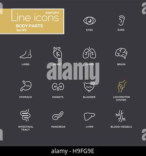 Body parts - modern vector plain simple thin line design icons and pictograms set - black background. Eyes, ear, limbs, heart, blood, lungs, brain, bl Stock Vector