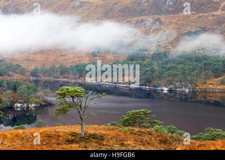 Autumn colours and a layer of mist above Loch Affric, Inverness-shire, Scotland, photographed in October. Stock Photo