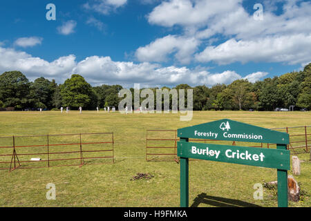 Burley Cricket ground in New Forest Stock Photo