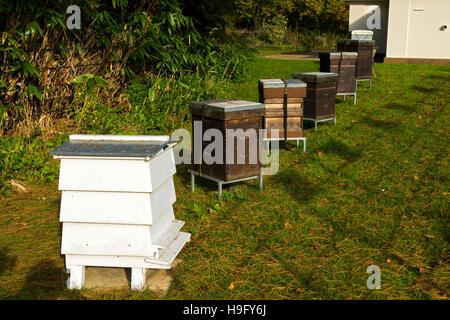 Display of different types of bee hive at the Dower House, Heaton Park, Manchester, England, UK. Stock Photo