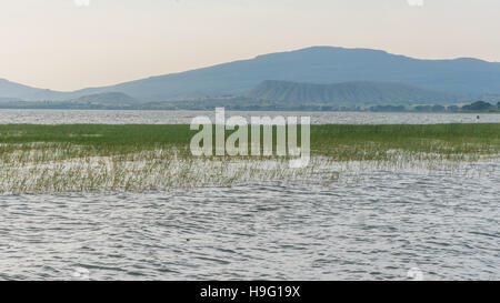 The beautiful Hawassa lake surrounded by lush vegetation and mountains at a distance Stock Photo