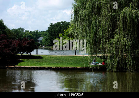 Family having a picnic under a weeping willow tree at Freedom Park in Charlotte NC Stock Photo