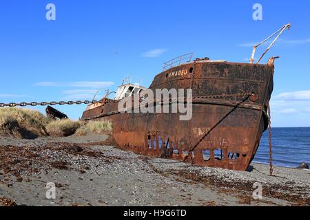 Amadeo Shipwreck in Chile Stock Photo