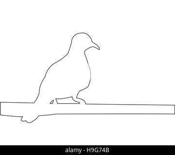 Pigeon sits on a pole path on the white background Stock Vector