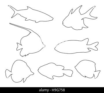 Fish Set Path on the white background Stock Vector