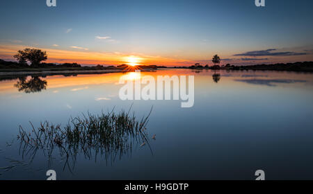 Sunset over fox hill pond in the New Forest Stock Photo