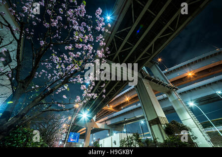 Kohoku Junction, Adachi-Ku, Tokyo, Japan Stock Photo