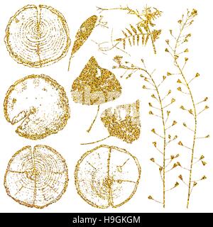 Vector wood splits and herbarium set isolated on white backdrop. Vector wood splits and herbarium set with gold glitter for your design. Stock Vector