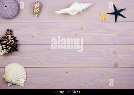White Purple Sea Shells Background Small Shells Closeup Sea Shell Banner  Template Stock Photo - Download Image Now - iStock