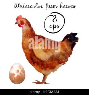 Vector farm poultry watercolor isolated on white background. Vector chicken and egg for art, logo, banner, emblem and others Stock Vector